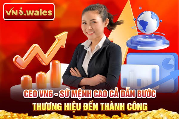 CEO VN6