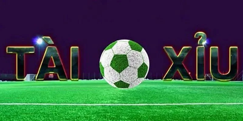 Tổng hợp những loại kèo chơi tài xỉu cần nắm rõ