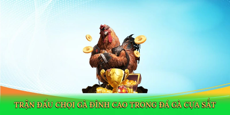 Trận đấu chọi gà đỉnh cao trong đá gà cựa sắt